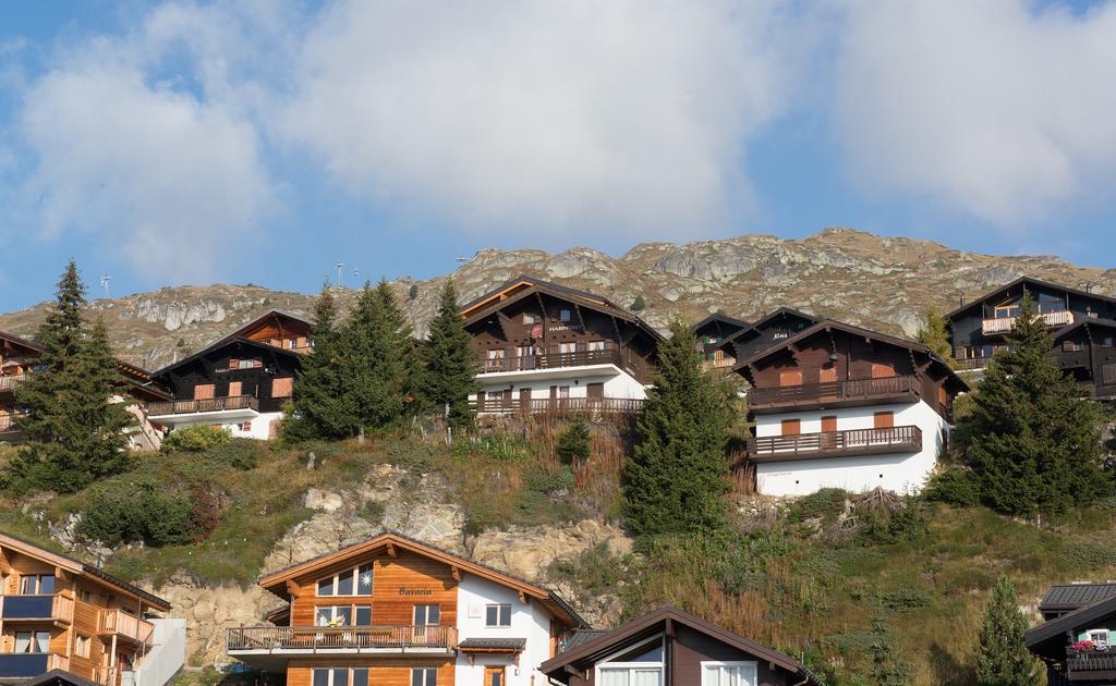 Harmony Eg Sued-Ost Leilighet Bettmeralp Eksteriør bilde